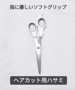 Item thumbnail for item 89eb9aba-c5ec-43f2-bf33-aafb34d799f8