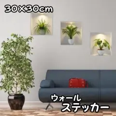 ウォールステッカー 3枚セット　壁紙 インテリア 壁飾 観葉植物 シール