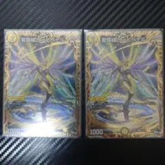 星姫械　ウェブペテル　ｂ　２枚