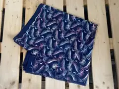 Item thumbnail for item 3f4c3ca2-cad4-4df3-af26-26dfdb18e42b