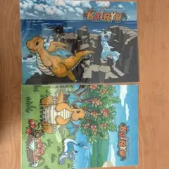 福井応援ポケモンカイリュークリアファイル2種