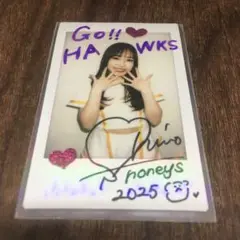 Item thumbnail for item 919d9d25-0dd0-4f73-bf55-2173e9f4280f