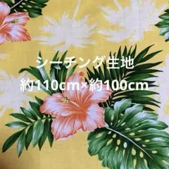 ハワイアン ハイビスカス ヤシの木 モンステラ 南国柄 シーチング生地