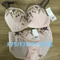 Item thumbnail for item 07f4b49c-302d-4c64-afa1-ddf272949fd7