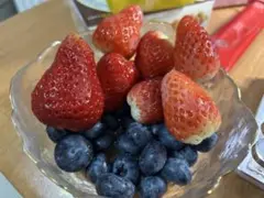 Item thumbnail for item ec0787d8-40ae-431e-94f4-66a85ed3fcbb