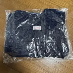 ポップコーンバッグ　西武ライオンズノベルティ