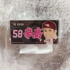 楽天イーグルス 辛島航選手 アクリルバッジ