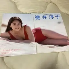 櫻井淳子18歳の超可愛い水着切り抜き❤️美品‼️1991年。