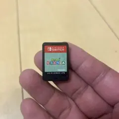 どうぶつの森 Nintendo Switch ソフト