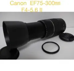 Item thumbnail for item 0af9db47-778f-4aa7-a78c-10a7269aab21