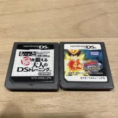 DS/3DSソフト2本セット
