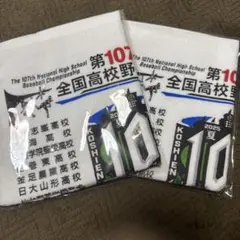 全国高等学校野球選手権大会 記念ハンドタオル2枚セット　※週末限定値下げ