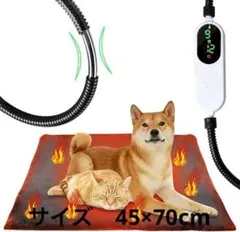 Item thumbnail for item b849e932-83c4-40ea-8b94-b63eca60b1ac