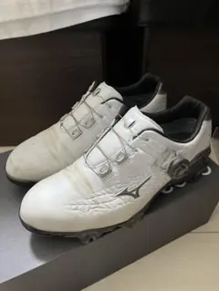 GENEM 009 boa 24.0cm EEE 3E ゴルフシューズ ジェネム