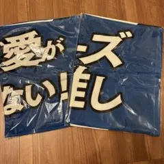 日本ハム ファイターズ favチェックイン5回目特典タオル 2種セット