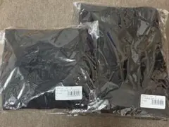 新品未開封　パーフェクトフォームトップス・レギンスL　リントスル