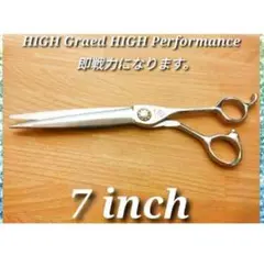 Item thumbnail for item d126e6de-f32d-4617-91c5-e5f5c723b6fc