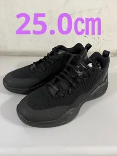 ゲリラ価格Q4 黒　25.0㎝