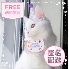 Item thumbnail for item 601613d4-43ea-43eb-8564-1fdcf3131864