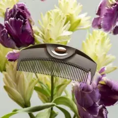Item thumbnail for item 24f69380-6eb3-44f2-97ea-4ef206bd4708