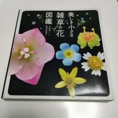 美しい小さな雑草の花図鑑
