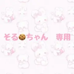 そるちゃん専用