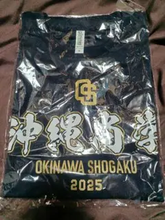 優勝記念に沖縄尚学 甲子園2025 ユニフォーム 3L