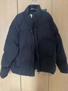 ダウンジャケット　the north face