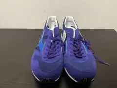 （値下げ可）未使用品　ミズノ　スペシャルオーダーランニングシューズ29cm