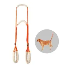 Item thumbnail for item 50a47da7-a9ce-422a-b03e-8eae8e9899ee