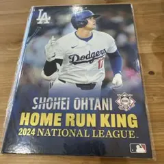 Shohei Ohtani HOME RUN KING 2024