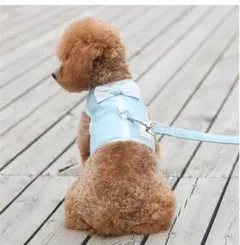 LeafIn 犬 猫 ハーネス リード コットン リボン 犬用 裏メッシュ