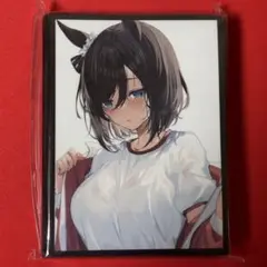 01004 スリーブ ウマ娘 エイシンフラッシュ