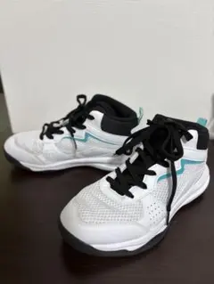 Item thumbnail for item 7f902421-96f4-4636-92bc-85f9920bcefa