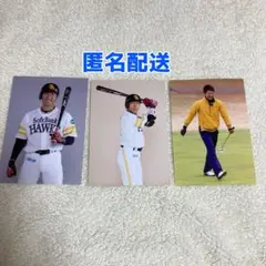 ソフトバンクホークス 本多雄一 ブロマイド 生写真 月刊ホークス 特典