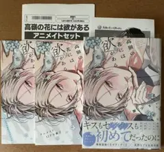 高嶺の花には欲がある 蟹宇まい 【アニメイトセット】