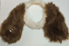 Item thumbnail for item 517747df-857d-4968-add0-7f910fb54856
