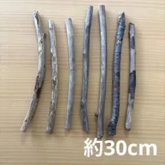 Item thumbnail for item 36ea0393-c942-429d-82f7-9f7e8d80947c