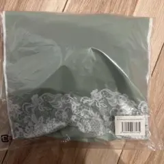 Item thumbnail for item c75481fd-6386-43bb-97e1-cf886afaadb1