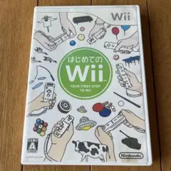 はじめてのWii