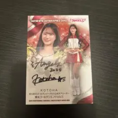 Item thumbnail for item d6dc9b06-8a77-48e3-8a31-6fb06e594f03