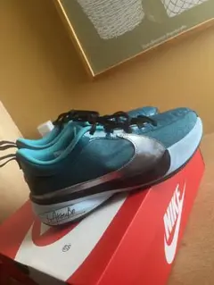 最終値下げ新品未使用品Nike フリーク5 SE23.5cm ティール/シルバー