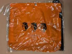 Item thumbnail for item 363282d3-3c90-4b72-9b50-be943fb24f6b