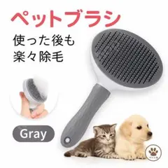 Item thumbnail for item 6acbfc09-11ef-4a89-8067-7d458b6af1c6