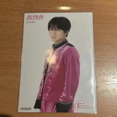 EBiDANmuseum 入場特典 ブロマイド 超特急 ハル