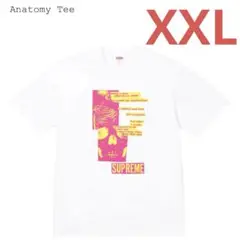 2025年最新】supreme anatomy teeの人気アイテム - メルカリ