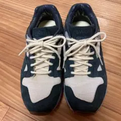 puma×BWGHコラボスニーカー サイズ25センチ