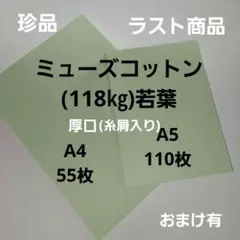 ミューズコットン(118㎏)若葉A4.55枚、A5.110枚、(屑入り)