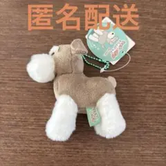シュナウザー マスコット 犬 ドッグ、キーホルダー