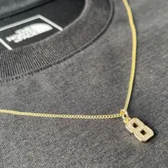Item thumbnail for item c010383e-f651-40fc-856f-fffbf7cc1428